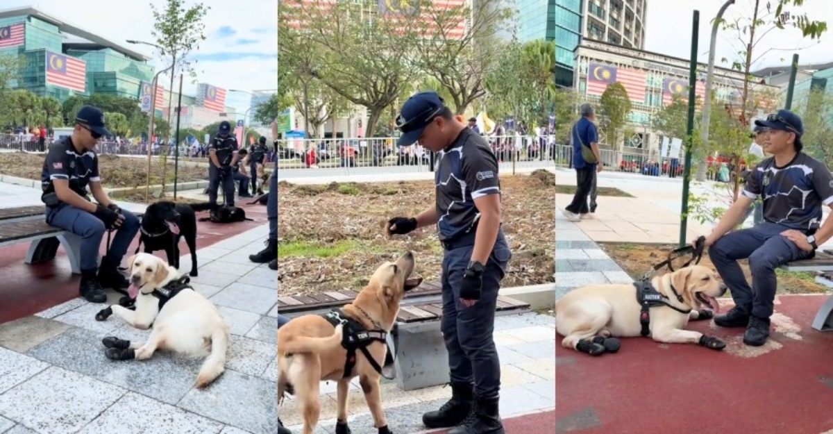 Unit K-9 Kastam Diraja Malaysia