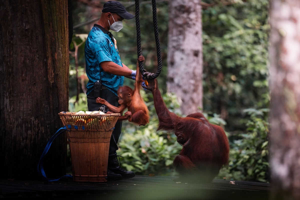 Sabah Malaysia's favorite destination