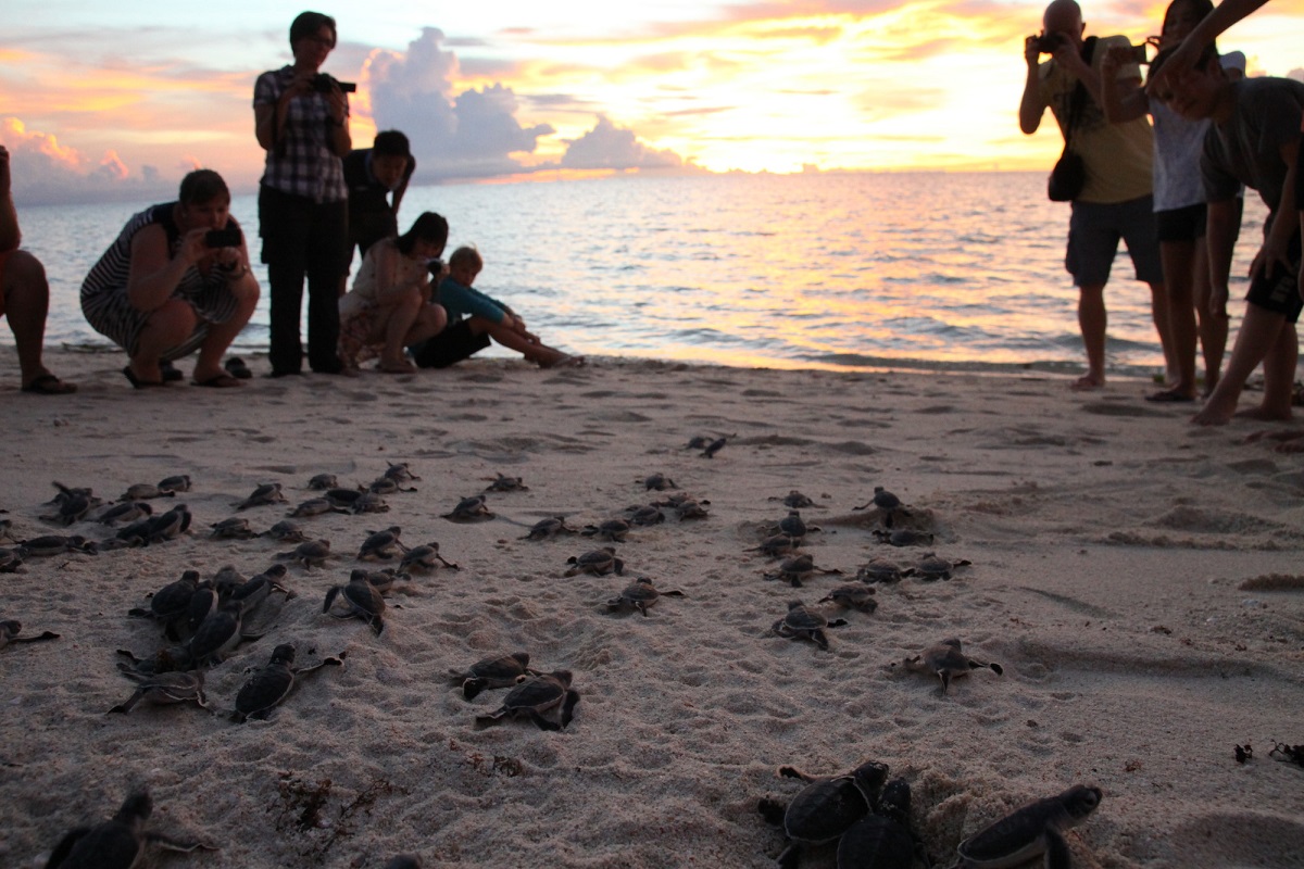 Sabah Malaysia's favorite destination