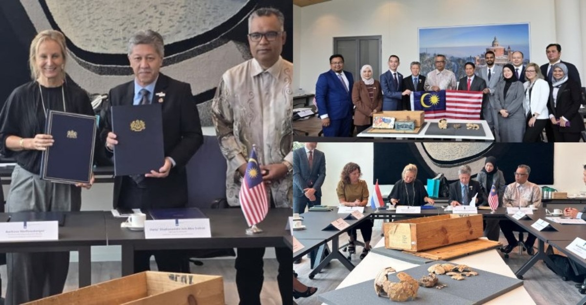 koleksi rangka manusia