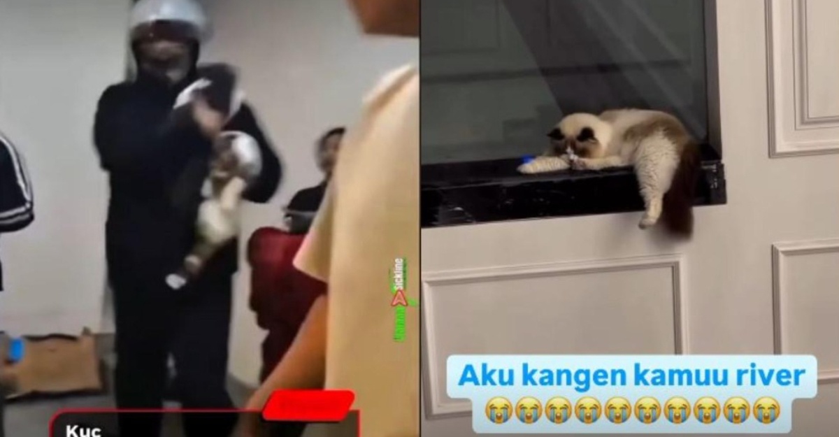Eko Patrio Menangis Rindu Kucing