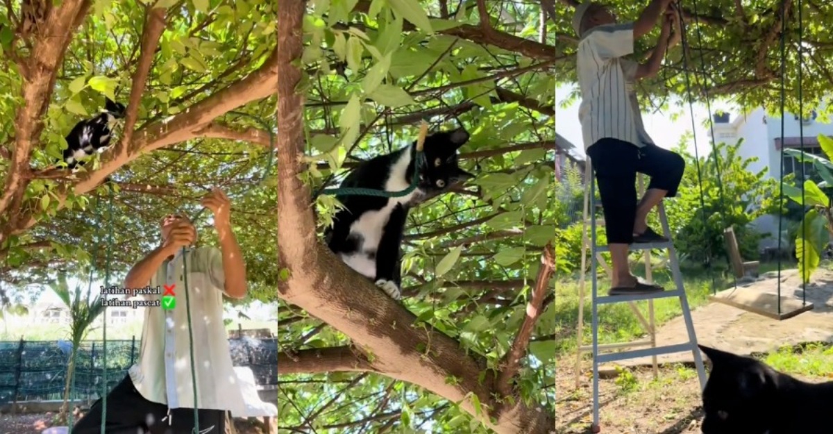 Kucing Ikut Arahan