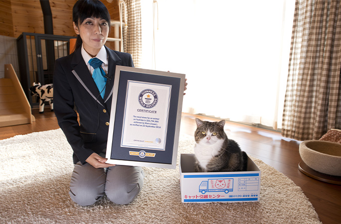 kucing maru