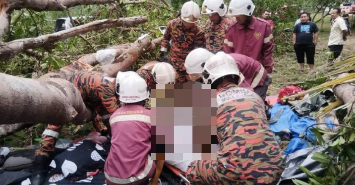 wanita maut dihempap pokok