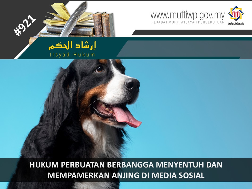 Hukum anjing yang menyentuh