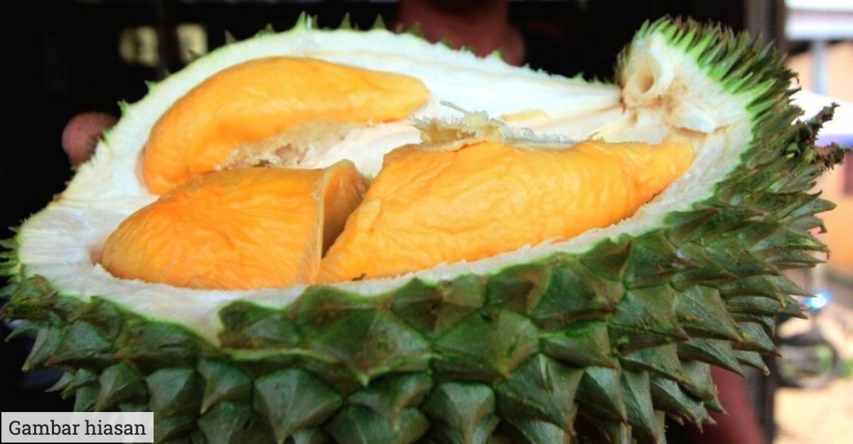 Bau Durian