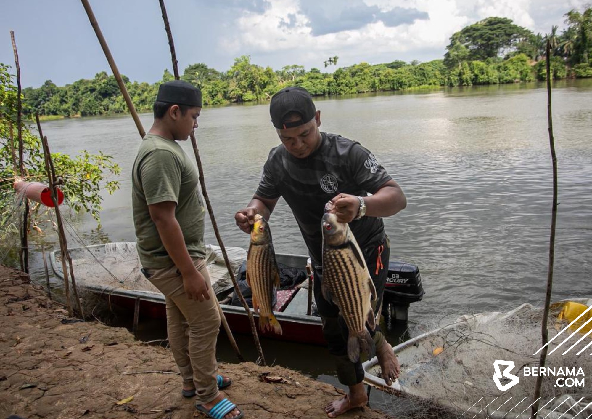 ikan temoleh diancam kepupusan
