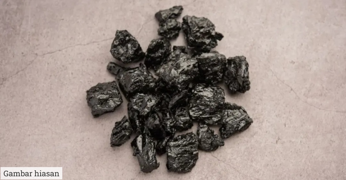 apa itu shilajit