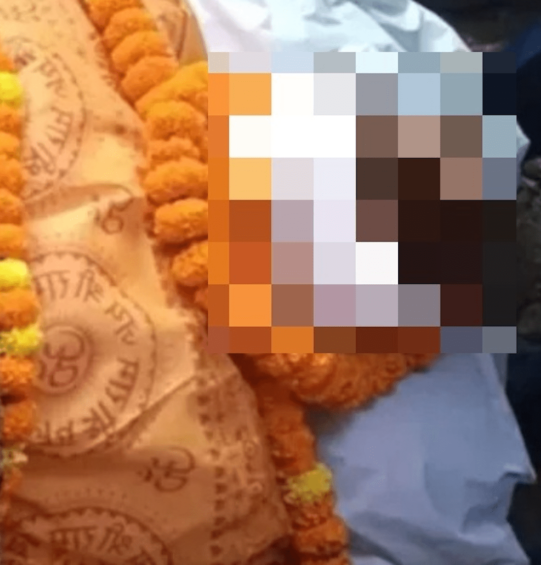 warga emas pura-pura mati