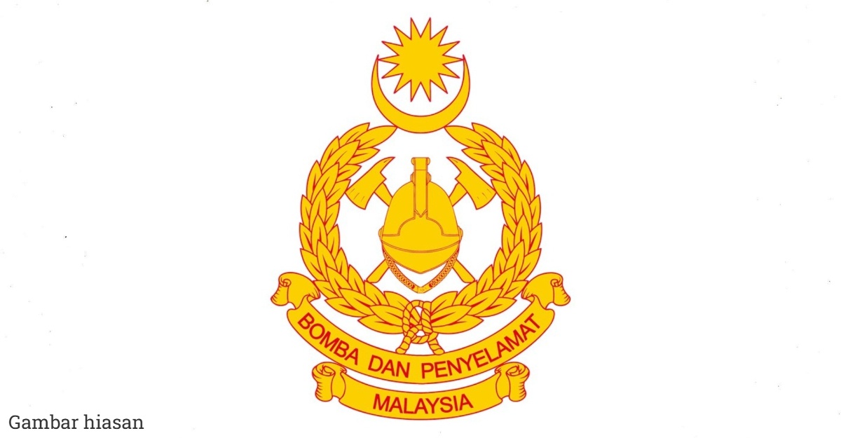 Dihempap Pokok Tumbang