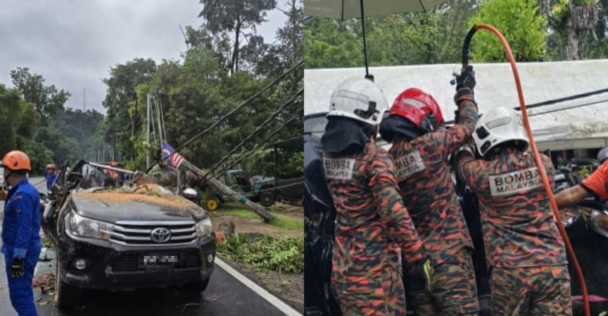 Maut Dihempap Pokok Tumbang