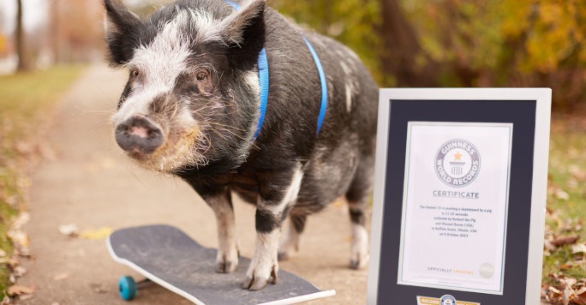 Guinness World Records