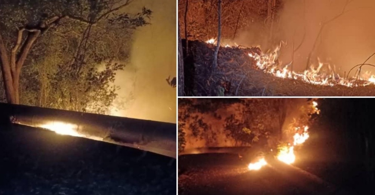 Kebakaran hutan salak tinggi