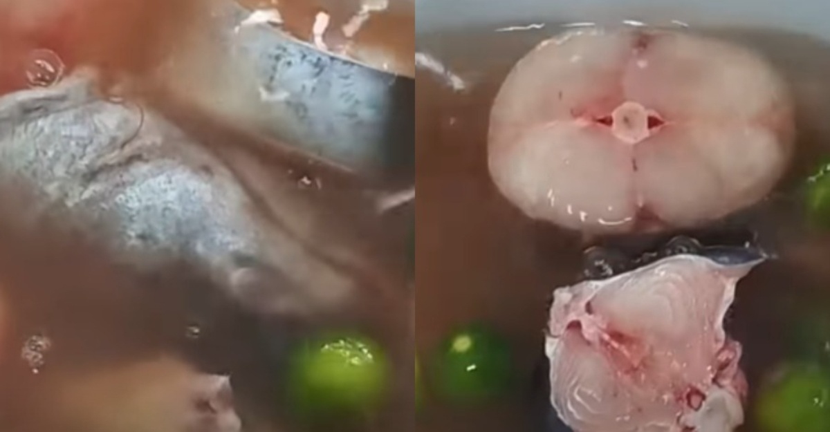 cara cuci ikan
