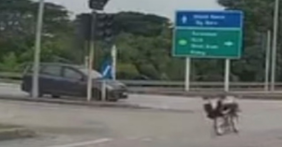 Aksi Basikal Lajak