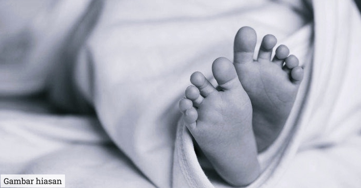 Janin Bayi Dalam Lori Sampah