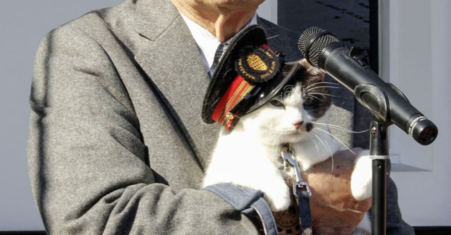 Kucing Ketua Stesen kereta api